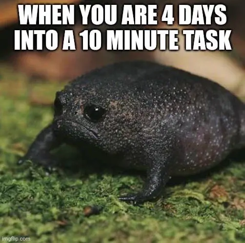project management meme: a frog upset that a task is taking too long