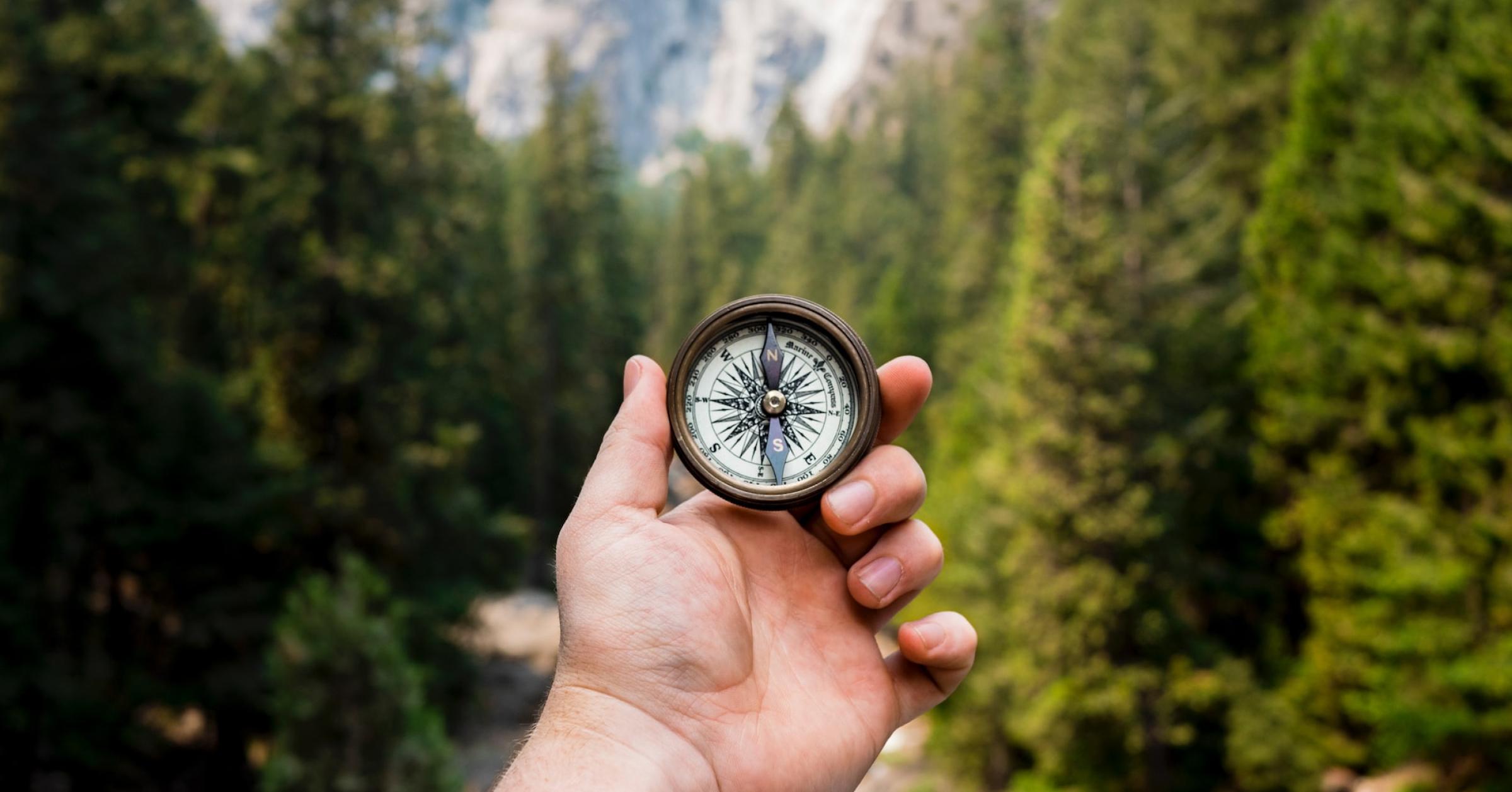 Hand holding a compass in the foreground against a background view of a mountain forest of evergreen trees.